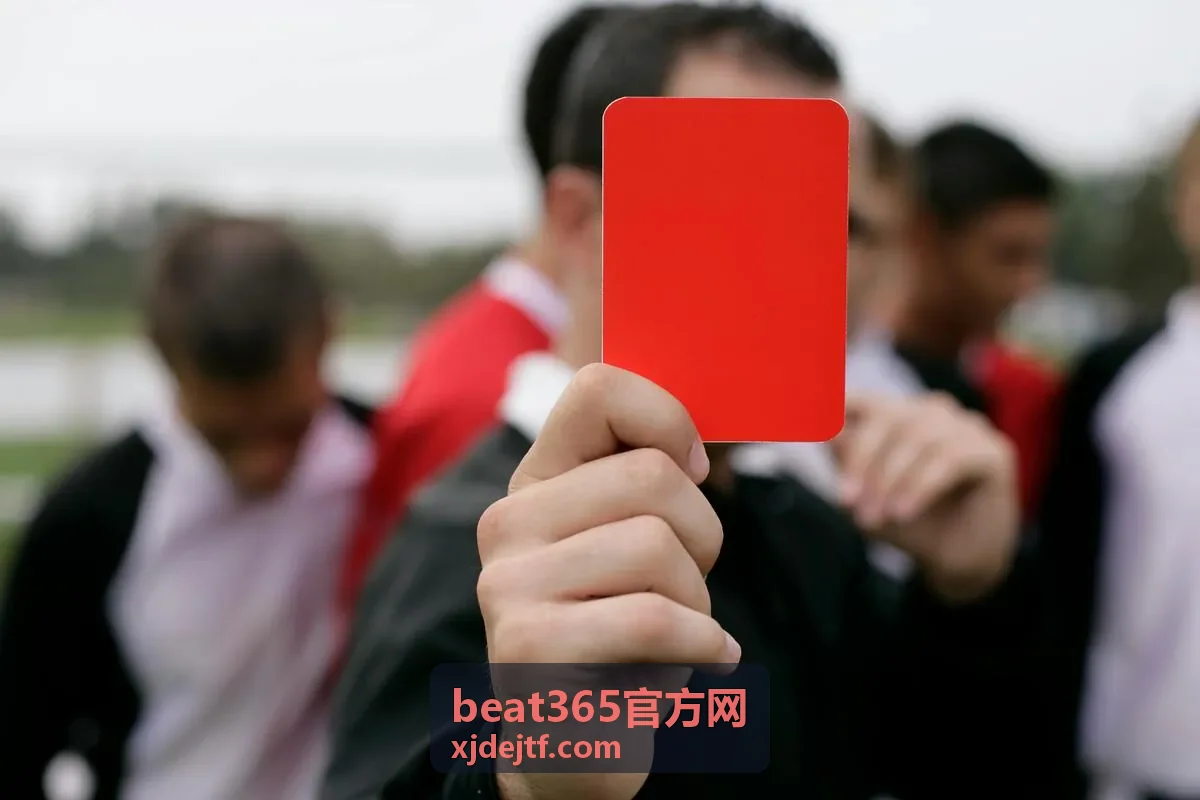 beat365官方网 畅享方案权益增量说明封面