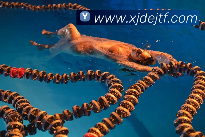 开云手机入口官方网站APP 体育赛事宣传图